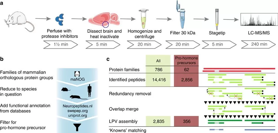 Analytical framework for analysis of endogenous peptides.